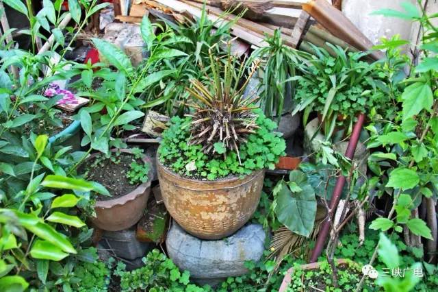 宜昌很有特色的地方,宜昌最安逸的地方