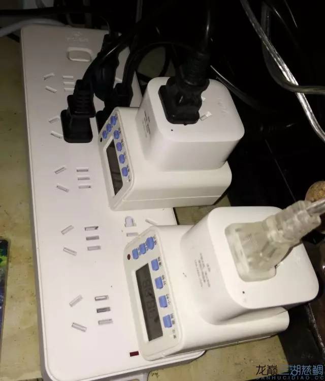 从零开始原生缸,从零开始造景缸