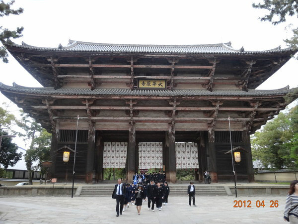 7天日本自由行多少钱,日本七天游自由行