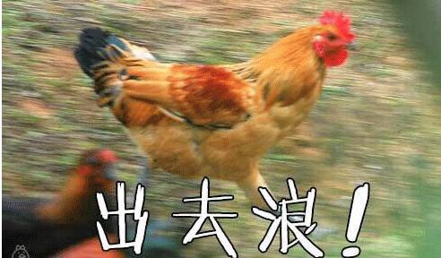 最低只要99！9月南京白菜价机票都在这了！