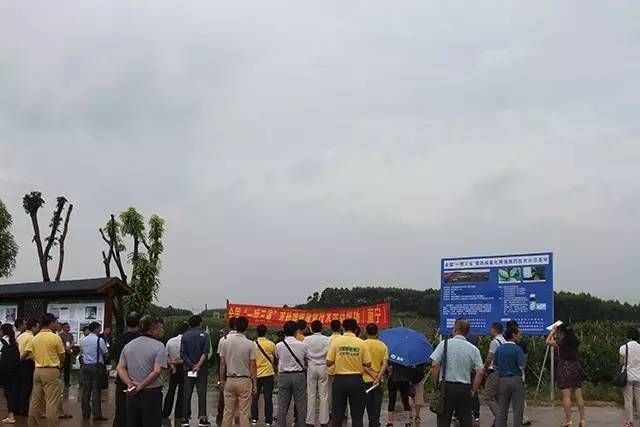 桂林集琦阿维菌素价格表,桂林集琦农业有限公司