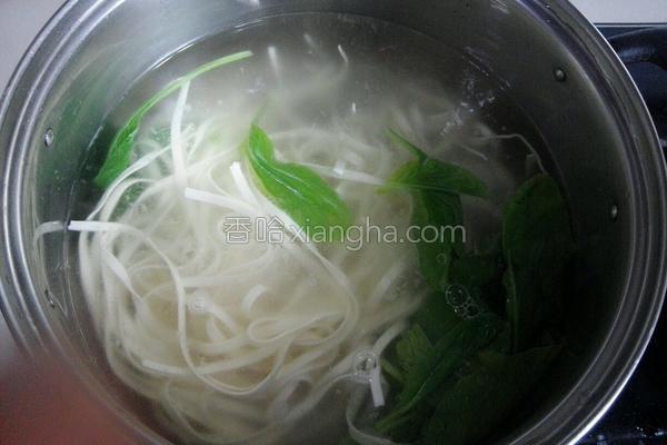 阿利茄汁面原料大揭秘,阿利茄汁面怎么样