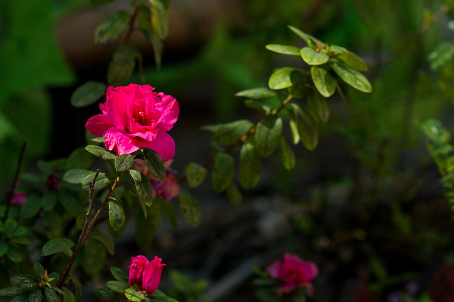 Hi,我是小可，我又回来了，产后第一次出行，娘子军奔赴女儿国
