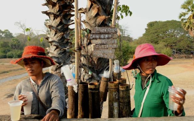 夏日东南亚饮品 (好喝的东南亚饮品)