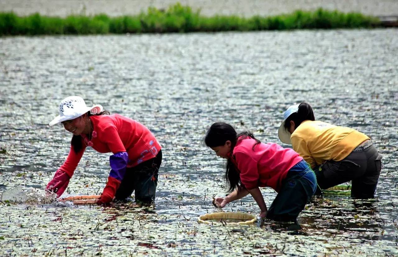 石柱好不好玩,石柱景点有哪些地方