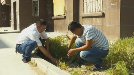 致富路上，不能让少数民族兄弟“掉队”