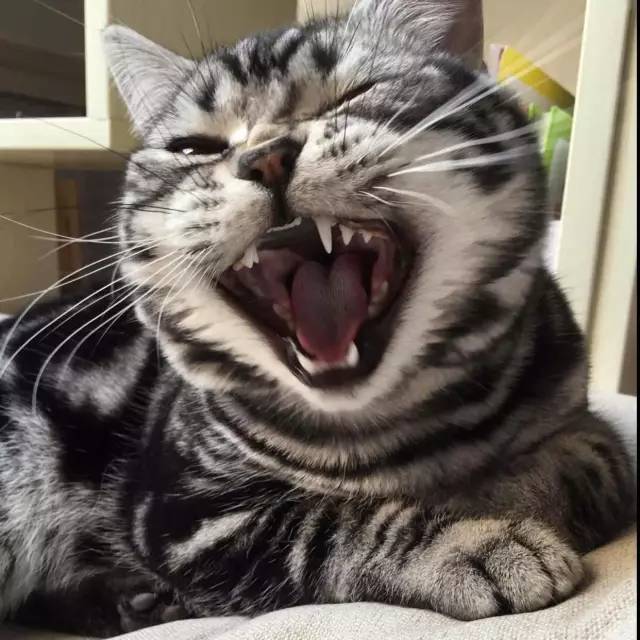 好物节年中大促,好东西优惠大促