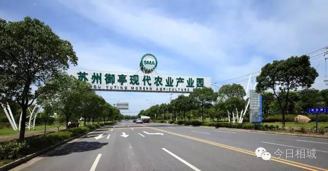 若你看过了望亭的前世今生，你会爱上这个“稻香小镇”！