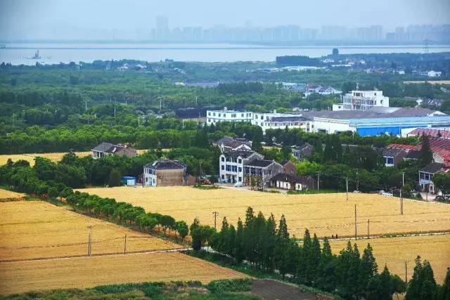 若你看过了望亭的前世今生，你会爱上这个“稻香小镇”！