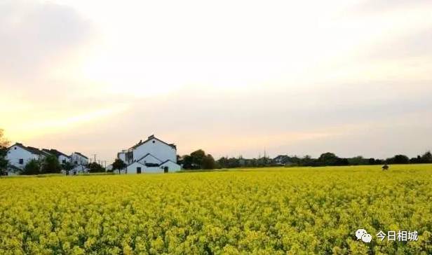 若你看过了望亭的前世今生，你会爱上这个“稻香小镇”！