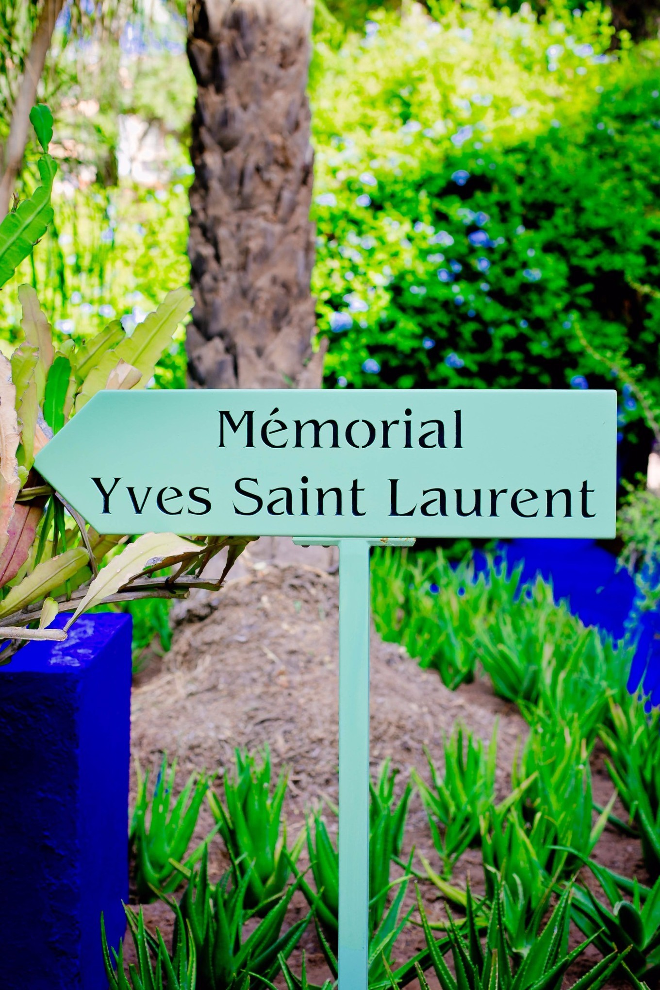 摩洛哥十天九夜自由行攻略 (摩洛哥11月游记)