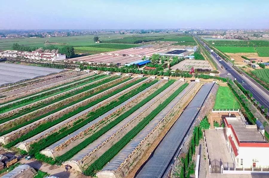 孟津土特产有哪些图片和名字,孟津特产必买清单