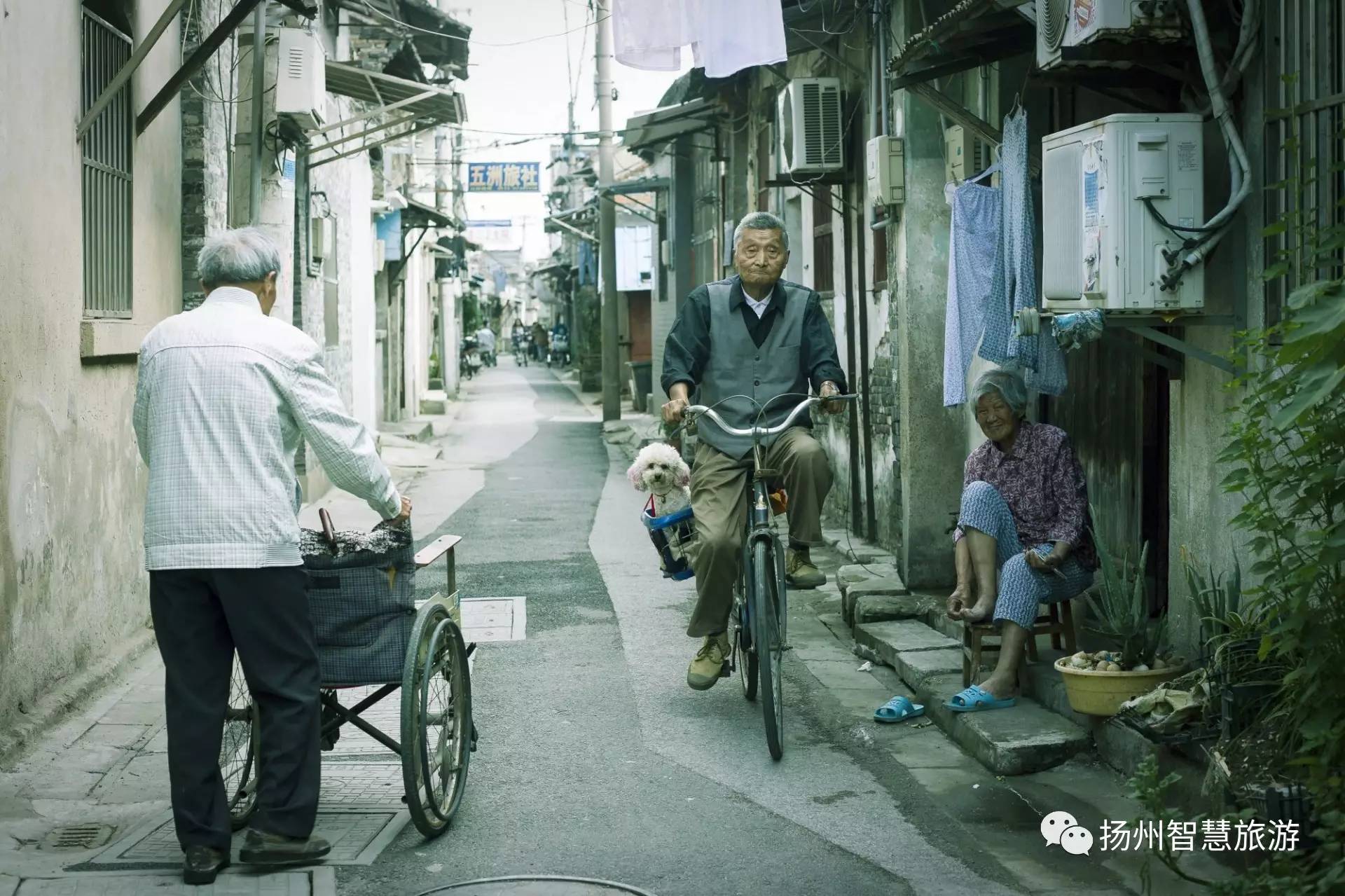 烟雨小巷人家,扬州烟雨蒙蒙小视频