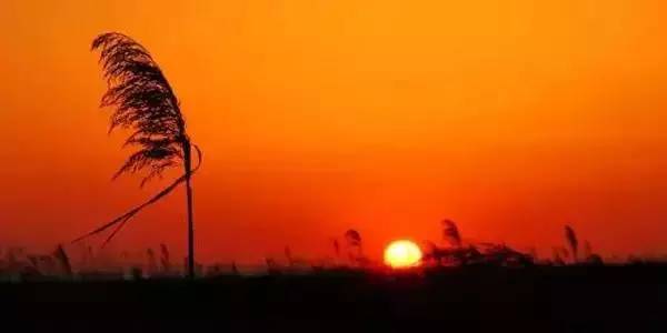 上海一日游古镇最佳路线免费景点,上海周末旅游胜地有哪些