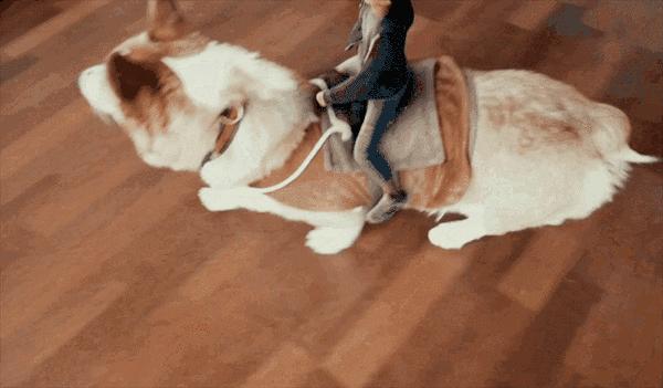 和女朋友约会迟到了怎么道歉,约会迟到女生生气怎么道歉