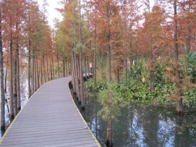 「镇深度」如何只用30元，过一天地道的镇江慢生活！