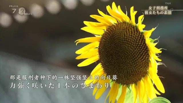 这不是*片A**，却满屏都是马赛克