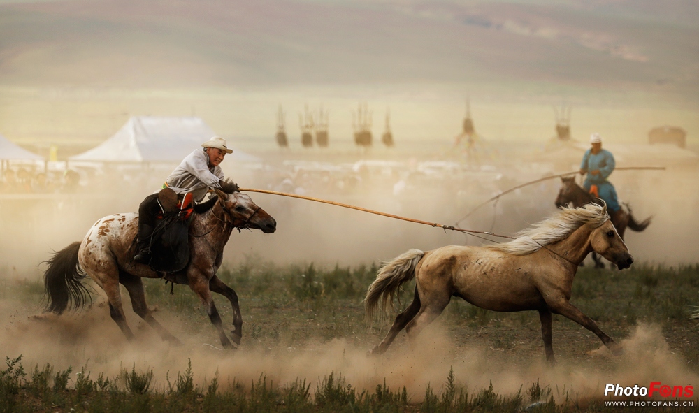 草原奔马拍摄技巧,草原骑马照片怎么拍