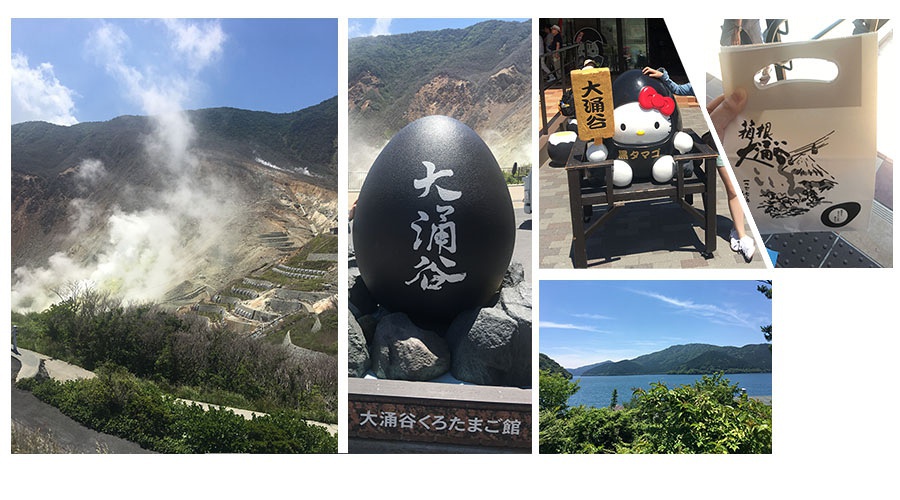 豆瓣日记大全,豆瓣日记