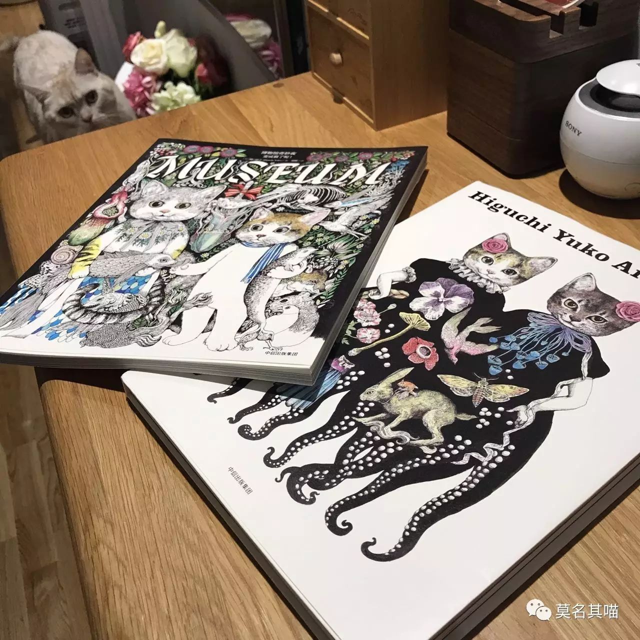 “黑暗系卡哇伊”是什么风格？樋口裕子（YukoHiguchi）笔下的猫咪异想世界