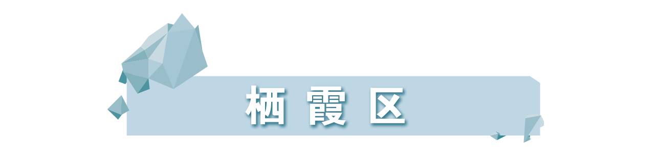 国家重点招商引资项目,南京金洽会十大项目