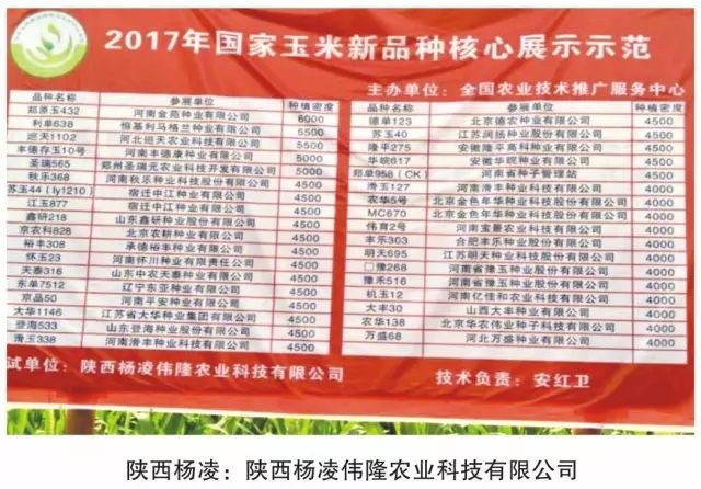 2019年农业部推广的玉米新品种,2022年国家审定的玉米新品种