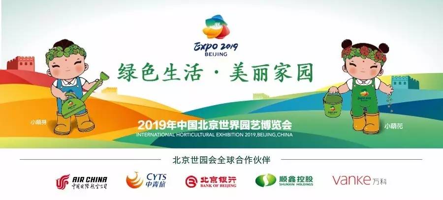 记忆里的花儿歌曲视频,记忆里的花和目前的花