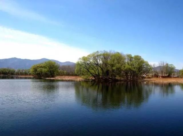北京最好的草原湿地公园,北京的湿地公园都有哪些