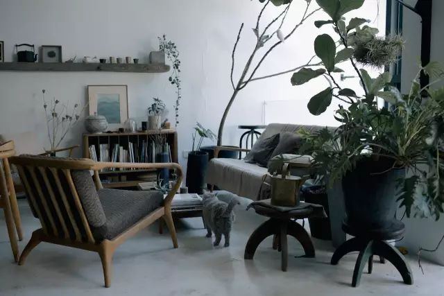 梵几高古奇：设计有温度的家具，把自然请进每个人的客厅