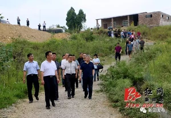 2018年新田新闻,新田县2018年新闻