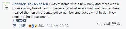 家中发现老鼠洞该怎么解决,如果你在家里发现了老鼠该怎么办