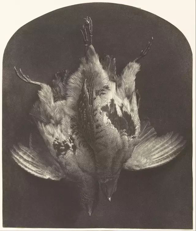 摄影属于艺术设计吗,摄影到底是技术还是艺术