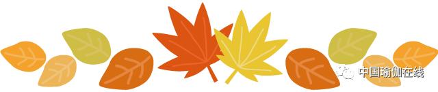 怎样找到你的盆底肌 (如何拥有一个强壮的盆底肌)