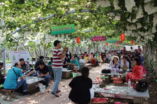 国庆节青岛哪些旅游景点需要预约,青岛景点倒计时