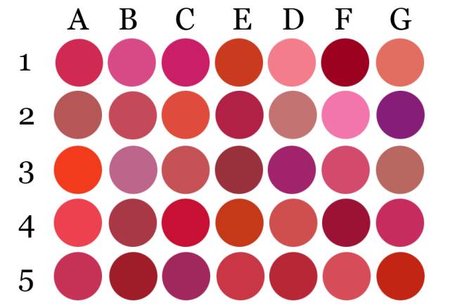 真假女人,真假女人对比图