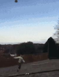 囧吐槽：社会我哈哥，狗怂话还多