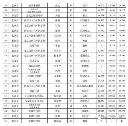 全国马术绕桶巡回赛,国际马术绕桶巡回赛