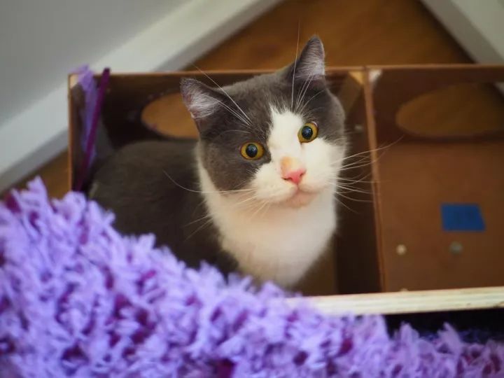 下一个台风说不定叫“皮皮虾”｜小南早报