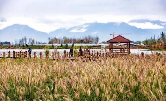 西安不用开车适合去玩的地方,西安周边秋天一日游最佳景点推荐