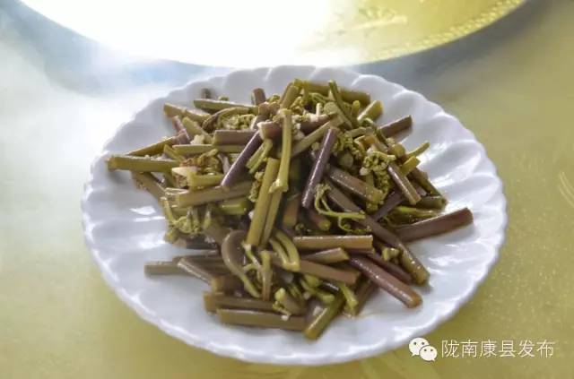 「相约康县」山水间歌声回荡，烟波里久违的故乡