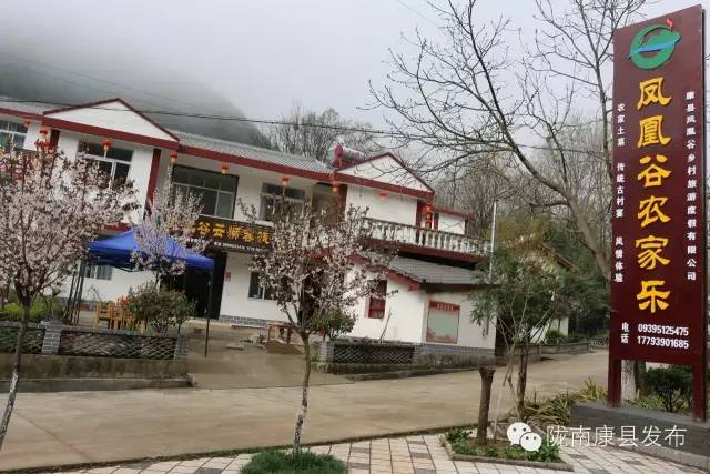 「相约康县」山水间歌声回荡，烟波里久违的故乡