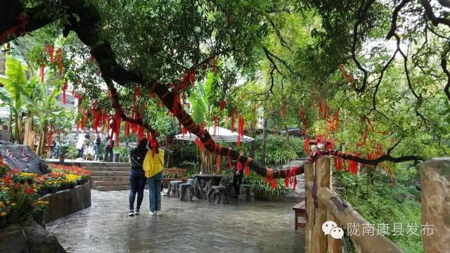 「相约康县」山水间歌声回荡，烟波里久违的故乡