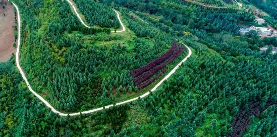 西安不用开车适合去玩的地方,西安周边秋天一日游最佳景点推荐