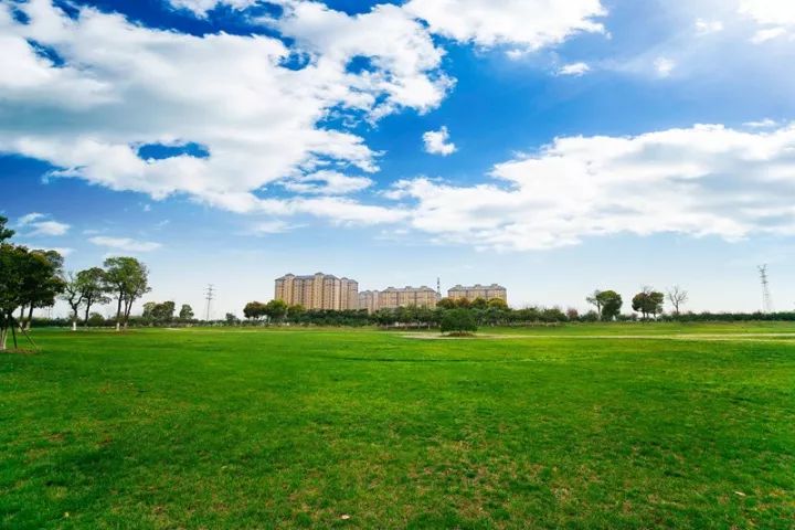 「砥砺奋进的五年·漕湖街道」十里漕湖，变化万千