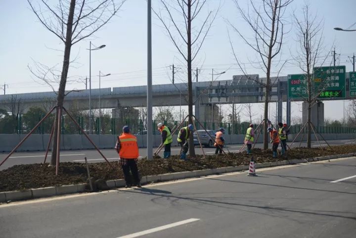 「砥砺奋进的五年·漕湖街道」十里漕湖，变化万千