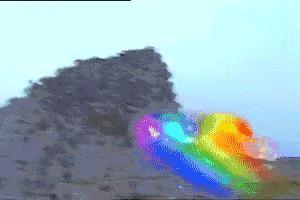 林依晨吃烤地瓜,林依晨烤地瓜