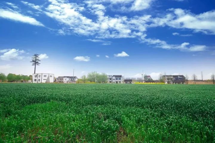 「砥砺奋进的五年·漕湖街道」十里漕湖，变化万千