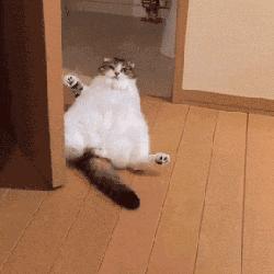 囧吐槽：社会我哈哥，狗怂话还多