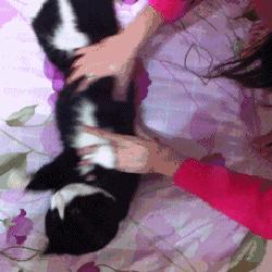 囧吐槽：社会我哈哥，狗怂话还多