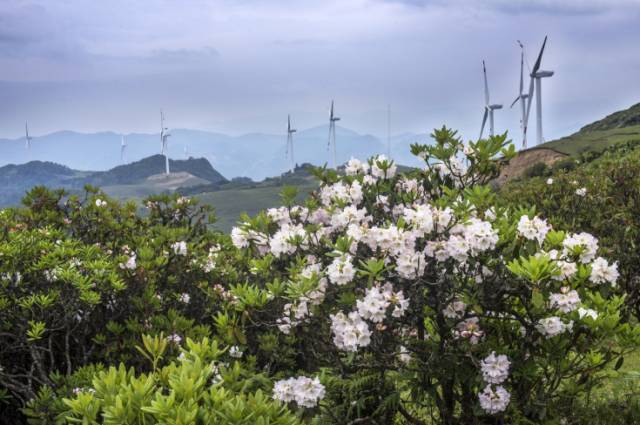 会理：温柔时光的千年古城，那份淡然的岁月安好！